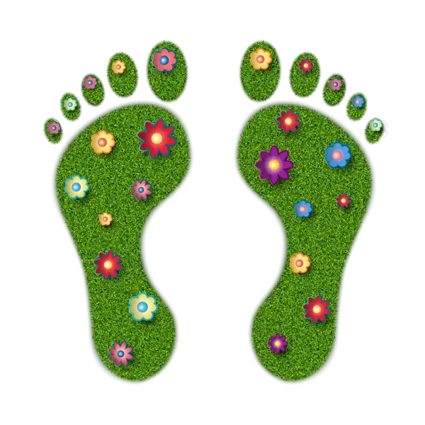 Illustration zweier Fußabdrücke aus Gras und Blumen